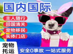 凤凰航空货运国际宠物托运 【国